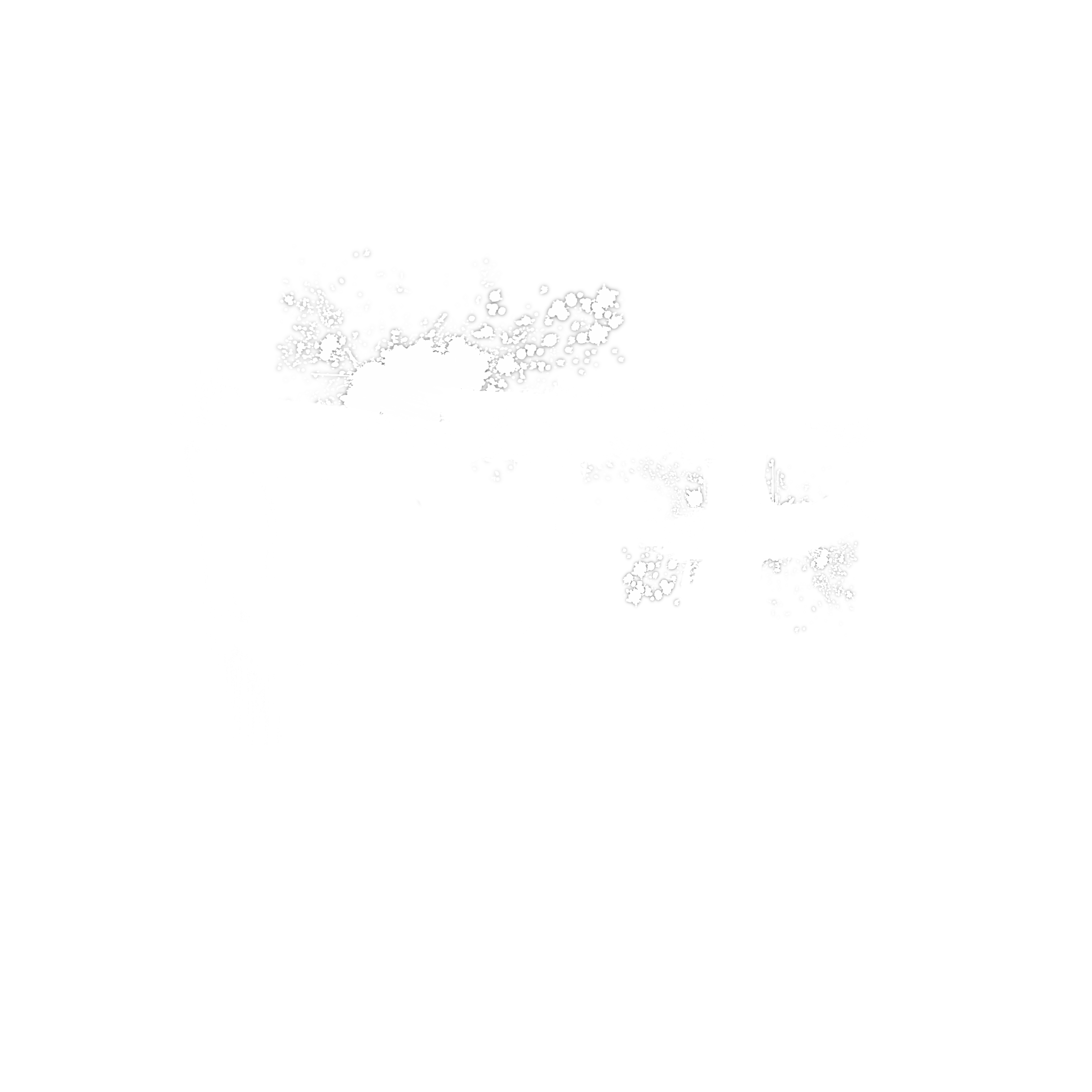 DTP Streetwear 
